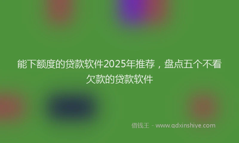 能下额度的贷款软件2025年推荐，盘点五个不看欠款的贷款软件