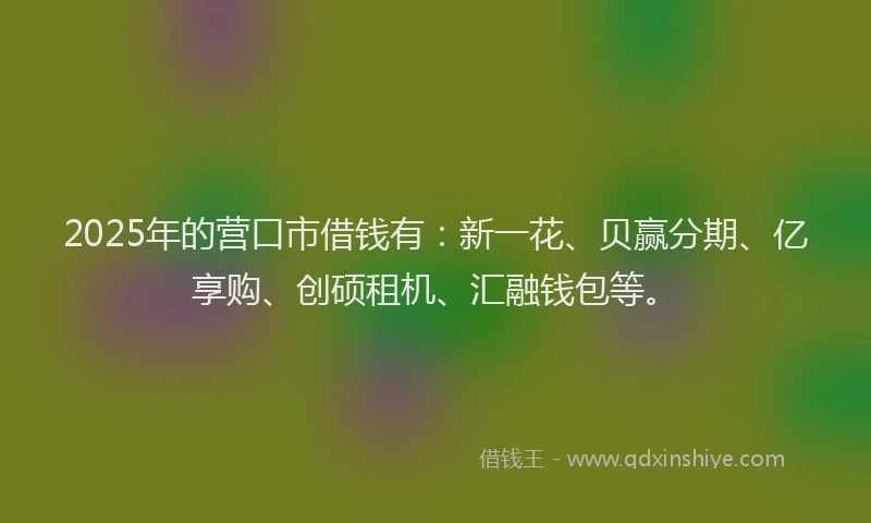 2025年的营口市借钱有：新一花、贝赢分期、亿享购、创硕租机、汇融钱包等。