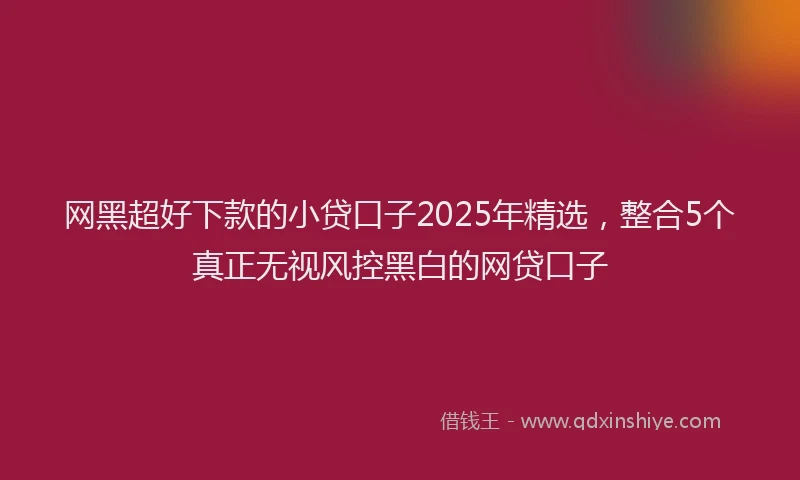 网黑超好下款的小贷口子2025年精选，整合5个真正无视风控黑白的网贷口子