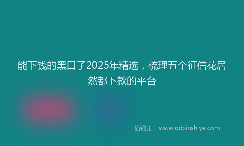 能下钱的黑口子2025年精选，梳理五个征信花居然都下款的平台