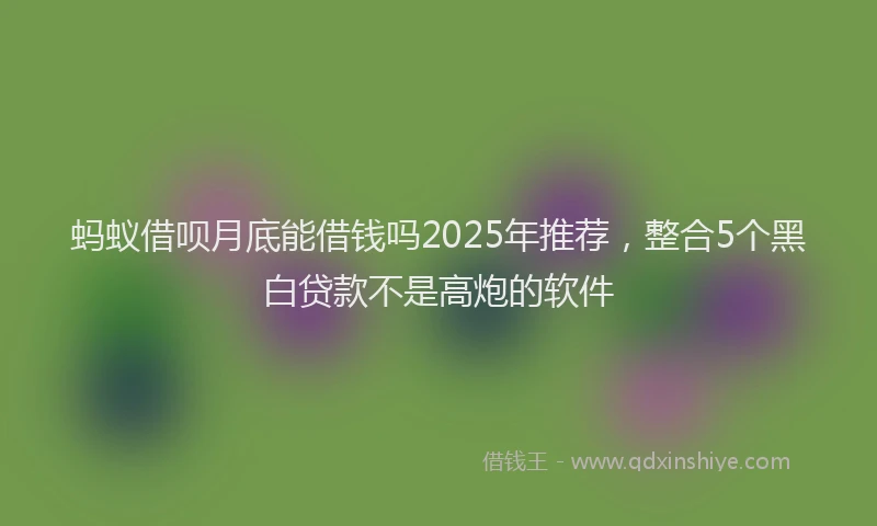 蚂蚁借呗月底能借钱吗2025年推荐，整合5个黑白贷款不是高炮的软件