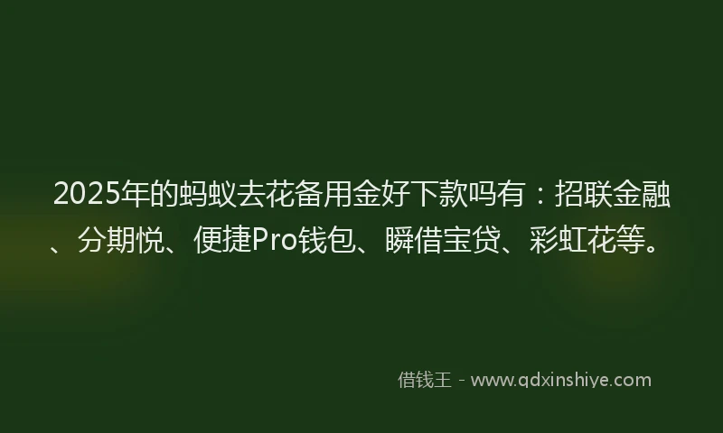 2025年的蚂蚁去花备用金好下款吗有：招联金融、分期悦、便捷Pro钱包、瞬借宝贷、彩虹花等。