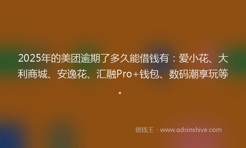 2025年的美团逾期了多久能借钱有：爱小花、大利商城、安逸花、汇融Pro+钱包、数码潮享玩等。