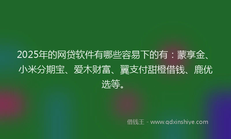 2025年的网贷软件有哪些容易下的有：蒙享金、小米分期宝、爱木财富、翼支付甜橙借钱、鹿优选等。