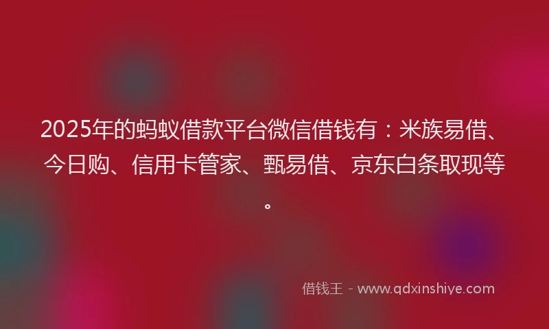 2025年的蚂蚁借款平台微信借钱有：米族易借、今日购、信用卡管家、甄易借、京东白条取现等。