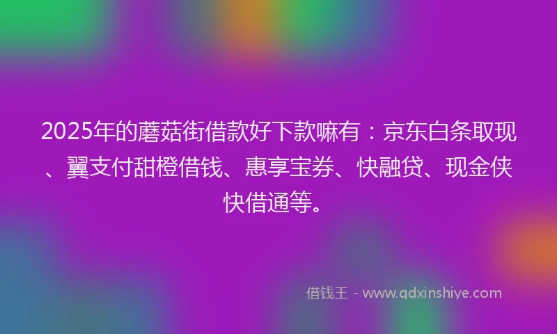 2025年的蘑菇街借款好下款嘛有：京东白条取现、翼支付甜橙借钱、惠享宝券、快融贷、现金侠快借通等。