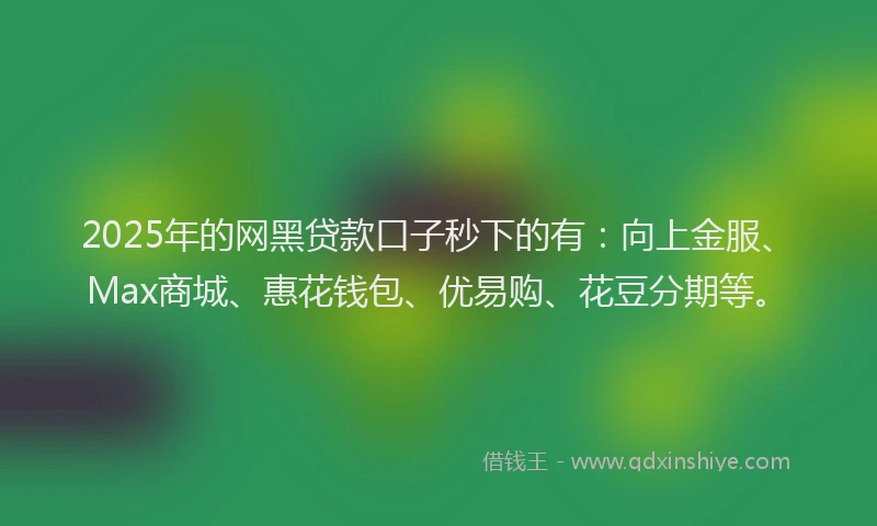 2025年的网黑贷款口子秒下的有：向上金服、Max商城、惠花钱包、优易购、花豆分期等。