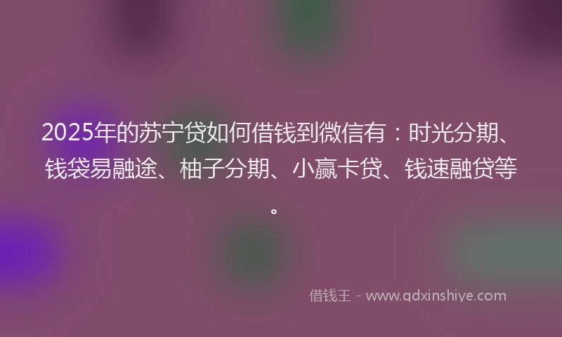 2025年的苏宁贷如何借钱到微信有：时光分期、钱袋易融途、柚子分期、小赢卡贷、钱速融贷等。