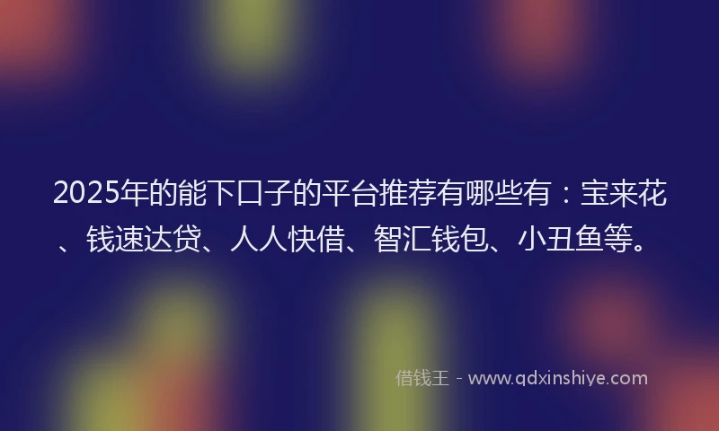 2025年的能下口子的平台推荐有哪些有：宝来花、钱速达贷、人人快借、智汇钱包、小丑鱼等。