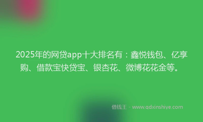 2025年的网贷app十大排名有：鑫悦钱包、亿享购、借款宝快贷宝、银杏花、微博花花金等。