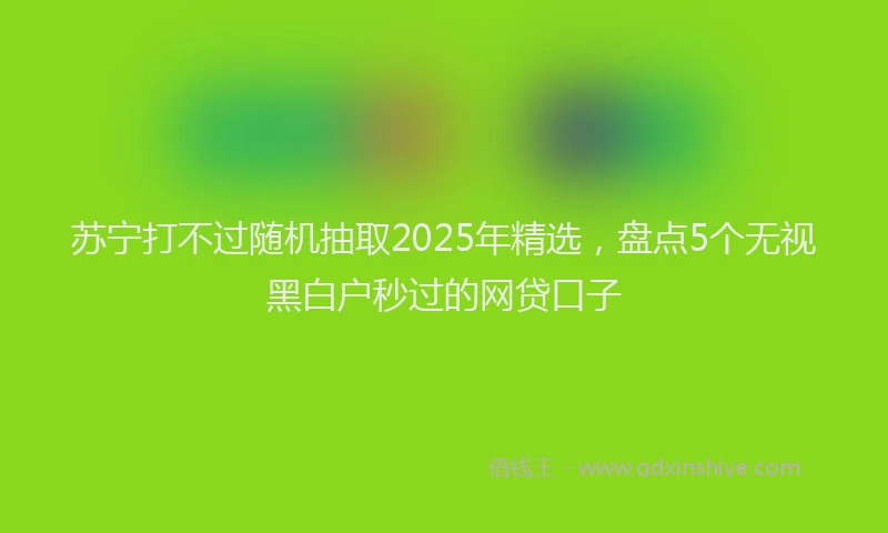 苏宁打不过随机抽取2025年精选，盘点5个无视黑白户秒过的网贷口子