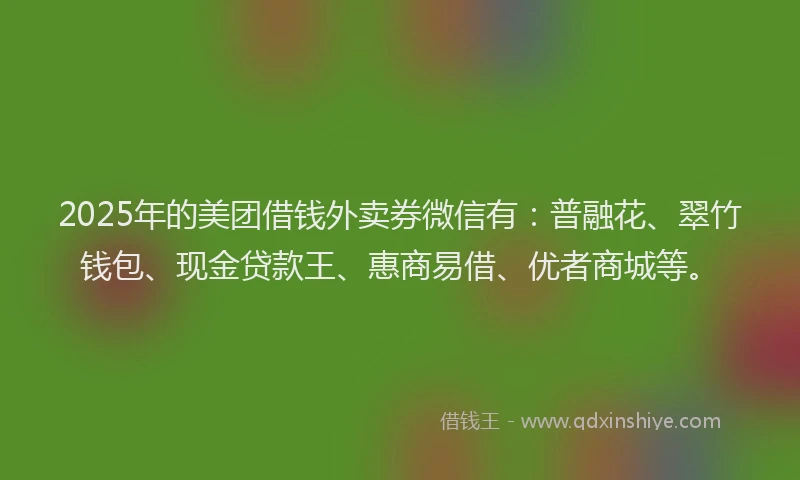 2025年的美团借钱外卖券微信有：普融花、翠竹钱包、现金贷款王、惠商易借、优者商城等。
