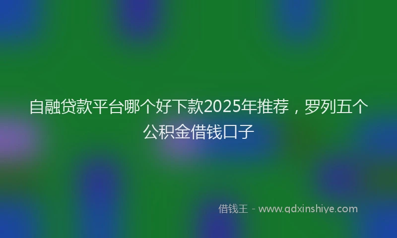 自融贷款平台哪个好下款2025年推荐，罗列五个公积金借钱口子