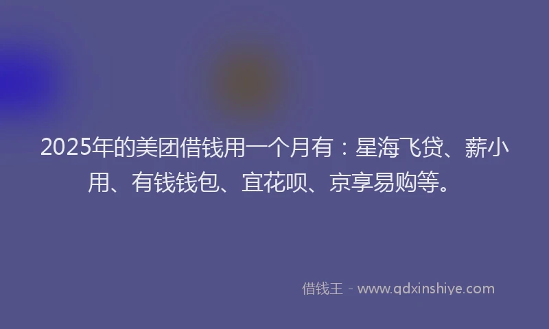 2025年的美团借钱用一个月有：星海飞贷、薪小用、有钱钱包、宜花呗、京享易购等。