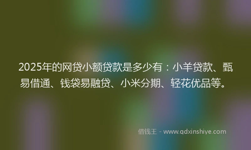 2025年的网贷小额贷款是多少有：小羊贷款、甄易借通、钱袋易融贷、小米分期、轻花优品等。