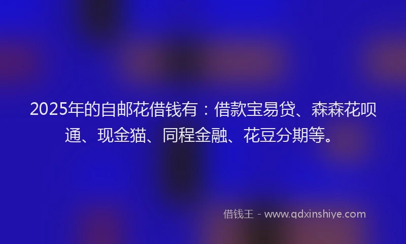 2025年的自邮花借钱有：借款宝易贷、森森花呗通、现金猫、同程金融、花豆分期等。