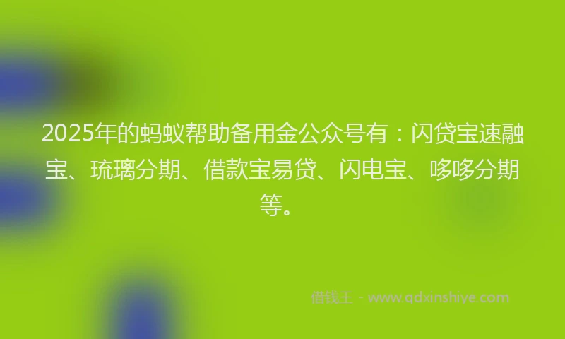 2025年的蚂蚁帮助备用金公众号有：闪贷宝速融宝、琉璃分期、借款宝易贷、闪电宝、哆哆分期等。
