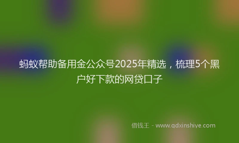 蚂蚁帮助备用金公众号2025年精选，梳理5个黑户好下款的网贷口子