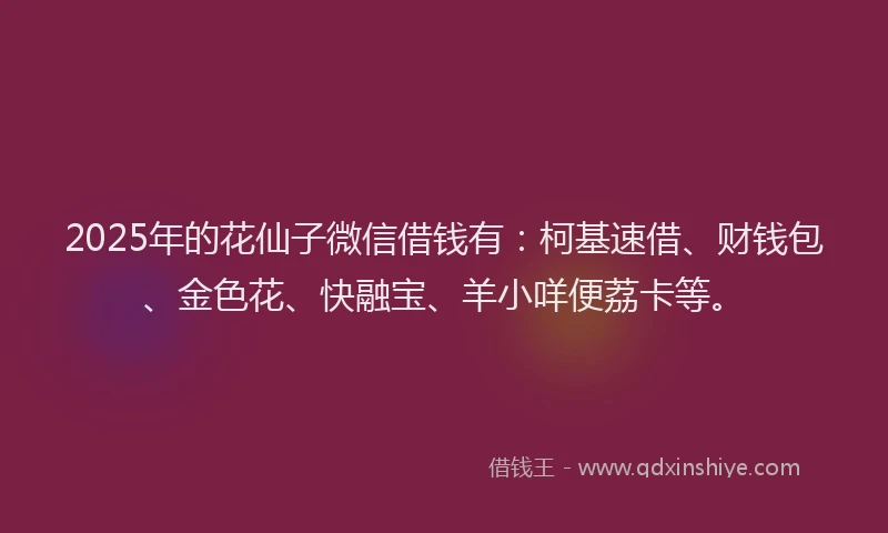 2025年的花仙子微信借钱有：柯基速借、财钱包、金色花、快融宝、羊小咩便荔卡等。
