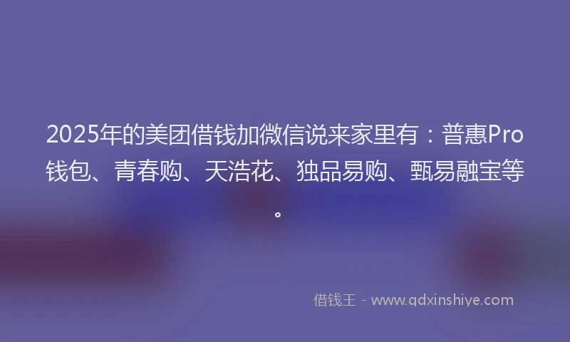 2025年的美团借钱加微信说来家里有：普惠Pro钱包、青春购、天浩花、独品易购、甄易融宝等。