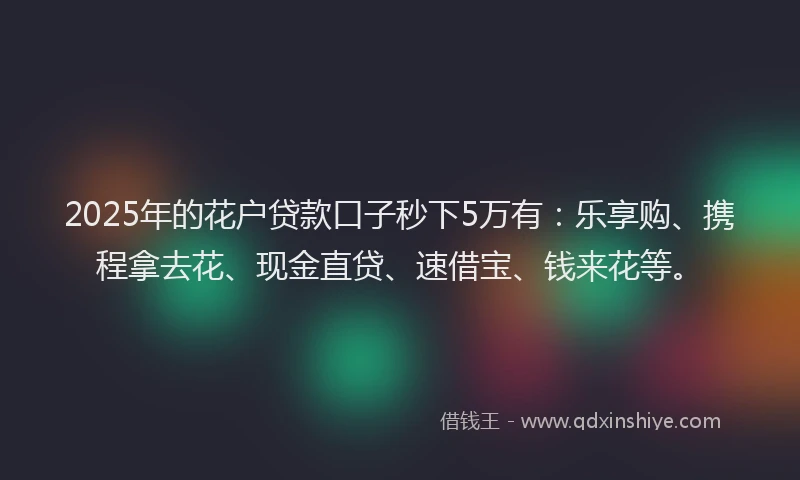 2025年的花户贷款口子秒下5万有：乐享购、携程拿去花、现金直贷、速借宝、钱来花等。