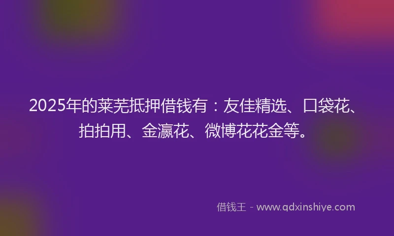 2025年的莱芜抵押借钱有：友佳精选、口袋花、拍拍用、金瀛花、微博花花金等。