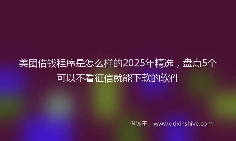 美团借钱程序是怎么样的2025年精选，盘点5个可以不看征信就能下款的软件