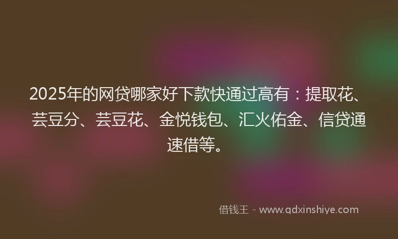 2025年的网贷哪家好下款快通过高有：提取花、芸豆分、芸豆花、金悦钱包、汇火佑金、信贷通速借等。