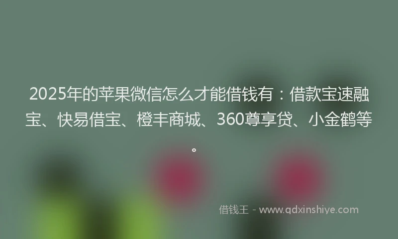 2025年的苹果微信怎么才能借钱有：借款宝速融宝、快易借宝、橙丰商城、360尊享贷、小金鹤等。