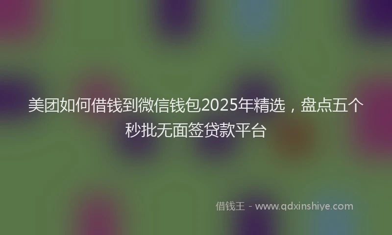 美团如何借钱到微信钱包2025年精选，盘点五个秒批无面签贷款平台