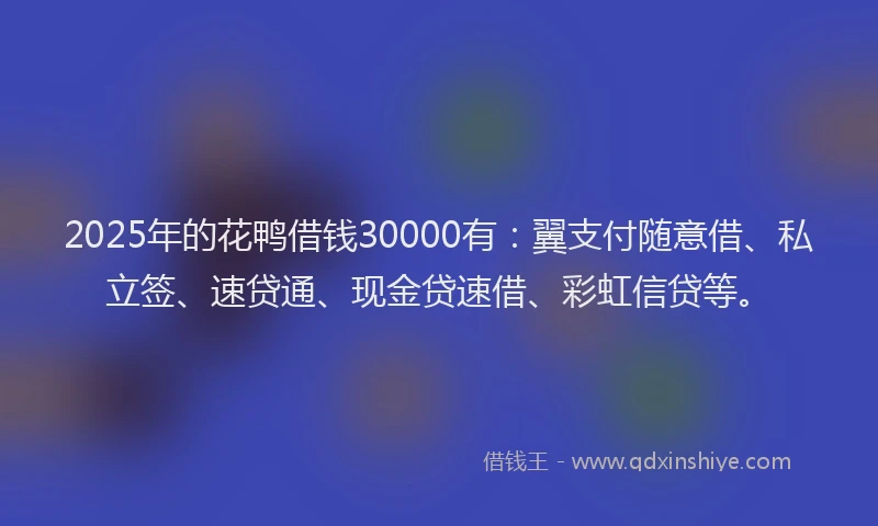 2025年的花鸭借钱30000有：翼支付随意借、私立签、速贷通、现金贷速借、彩虹信贷等。