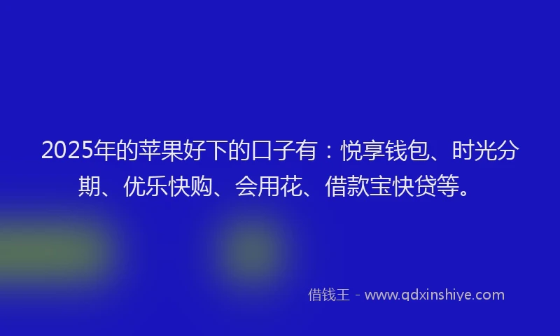 2025年的苹果好下的口子有：悦享钱包、时光分期、优乐快购、会用花、借款宝快贷等。