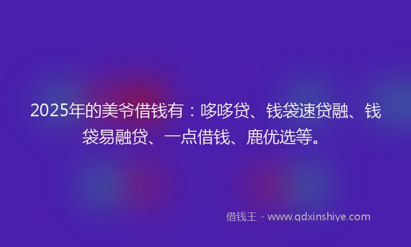 2025年的美爷借钱有：哆哆贷、钱袋速贷融、钱袋易融贷、一点借钱、鹿优选等。