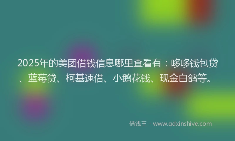 2025年的美团借钱信息哪里查看有：哆哆钱包贷、蓝莓贷、柯基速借、小鹅花钱、现金白鸽等。