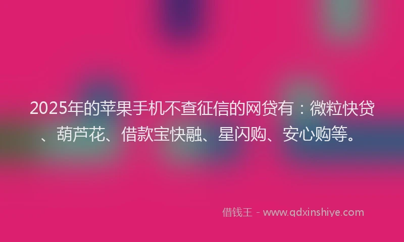 2025年的苹果手机不查征信的网贷有：微粒快贷、葫芦花、借款宝快融、星闪购、安心购等。