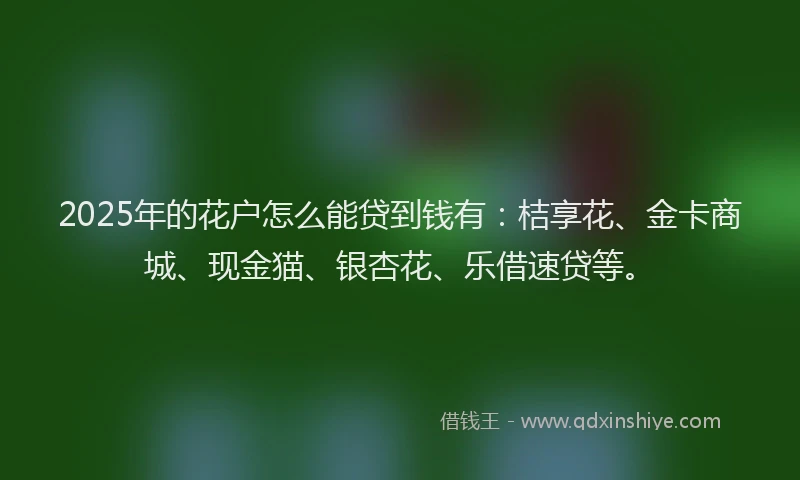 2025年的花户怎么能贷到钱有：桔享花、金卡商城、现金猫、银杏花、乐借速贷等。