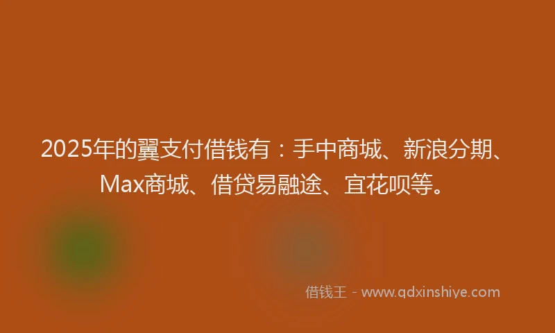 2025年的翼支付借钱有：手中商城、新浪分期、Max商城、借贷易融途、宜花呗等。