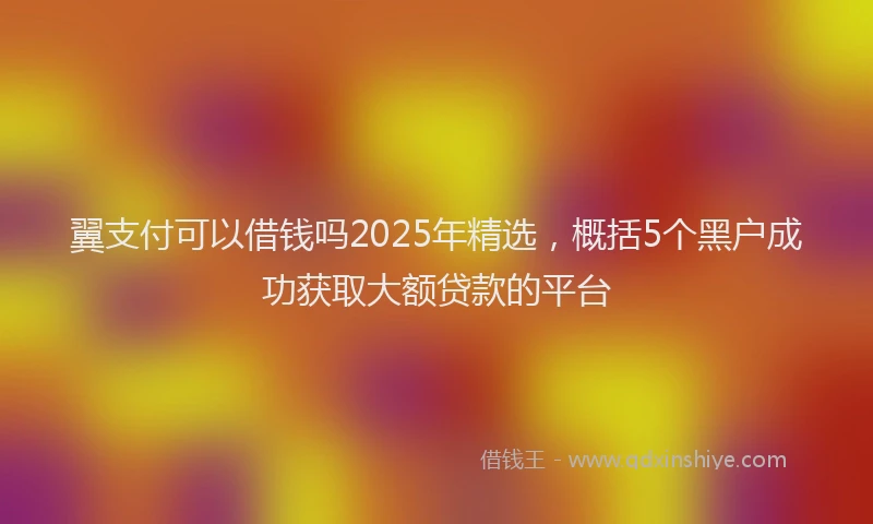 翼支付可以借钱吗2025年精选，概括5个黑户成功获取大额贷款的平台