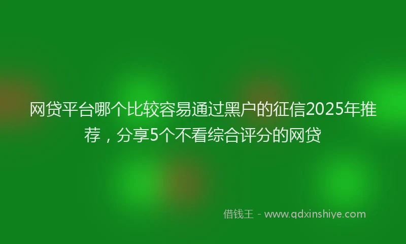 网贷平台哪个比较容易通过黑户的征信2025年推荐，分享5个不看综合评分的网贷