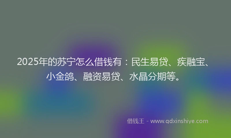 2025年的苏宁怎么借钱有：民生易贷、疾融宝、小金鸽、融资易贷、水晶分期等。