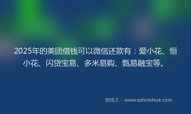 2025年的美团借钱可以微信还款有：爱小花、恒小花、闪贷宝易、多米易购、甄易融宝等。