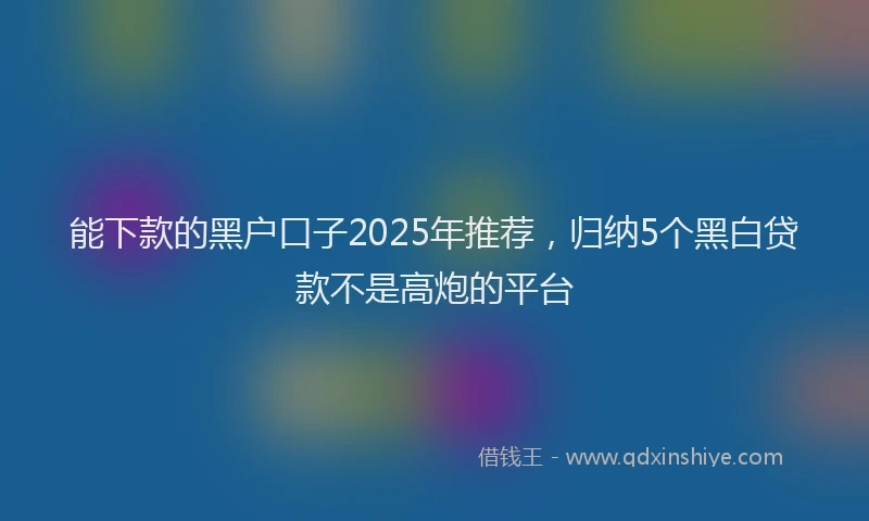 能下款的黑户口子2025年推荐，归纳5个黑白贷款不是高炮的平台
