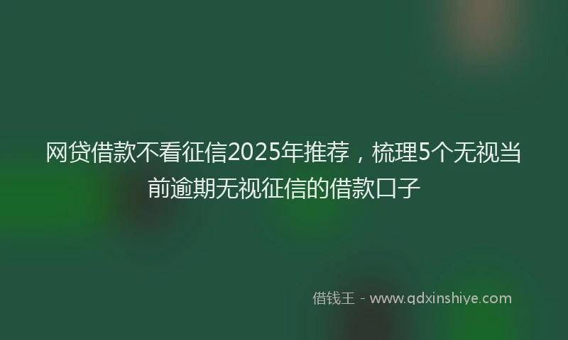 网贷借款不看征信2025年推荐，梳理5个无视当前逾期无视征信的借款口子