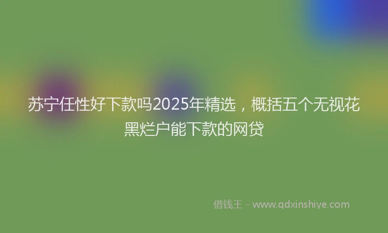 苏宁任性好下款吗2025年精选，概括五个无视花黑烂户能下款的网贷