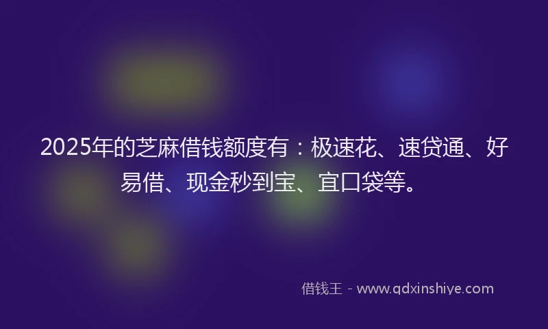 2025年的芝麻借钱额度有：极速花、速贷通、好易借、现金秒到宝、宜口袋等。