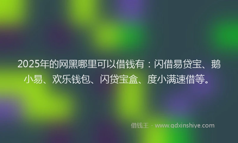 2025年的网黑哪里可以借钱有：闪借易贷宝、鹅小易、欢乐钱包、闪贷宝盒、度小满速借等。