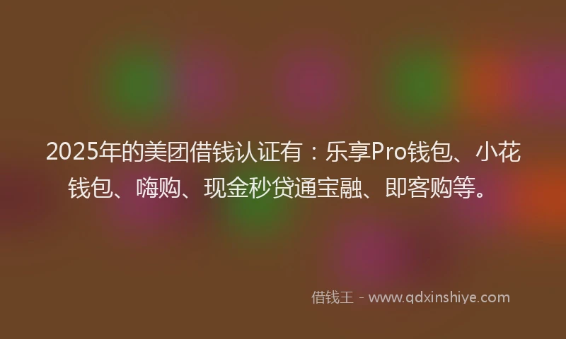 2025年的美团借钱认证有：乐享Pro钱包、小花钱包、嗨购、现金秒贷通宝融、即客购等。