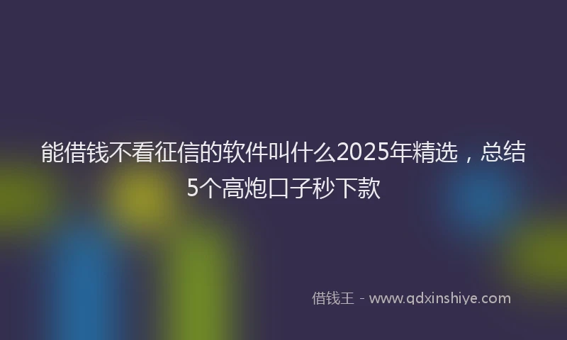 能借钱不看征信的软件叫什么2025年精选，总结5个高炮口子秒下款