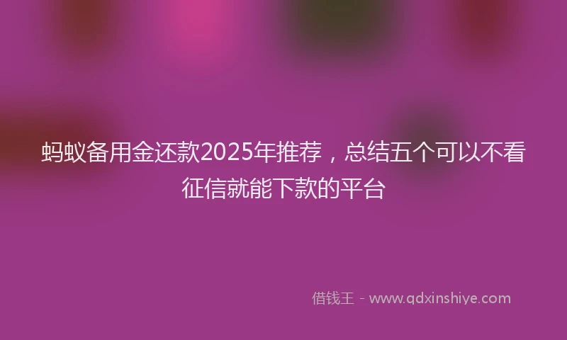 蚂蚁备用金还款2025年推荐，总结五个可以不看征信就能下款的平台