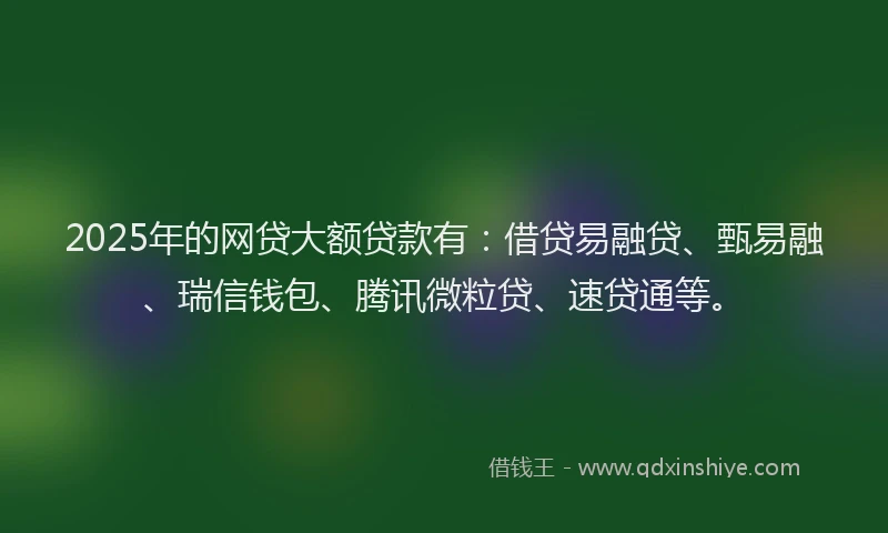 2025年的网贷大额贷款有：借贷易融贷、甄易融、瑞信钱包、腾讯微粒贷、速贷通等。